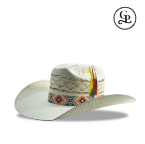 sombrero bangora estilo minick