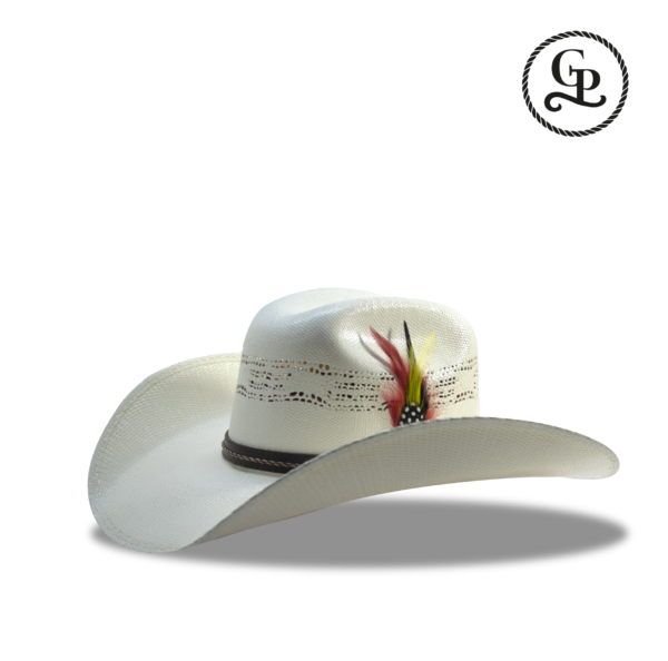 sombrero bangora estilo 8 segundos